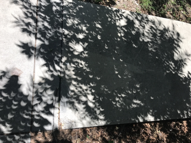 Eclipse stuff.